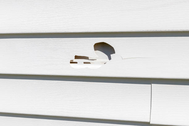 Moving and Downsizing Cleanouts in Lemon Hill, CA
