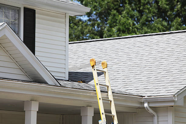 Best Shed Removal  in Lemon Hill, CA